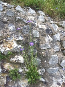 010477865d247a2797339d68a1f63cb783ee712c01