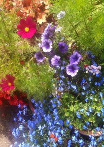 0154c40d7587c17205f2683206673ac0bc62040710