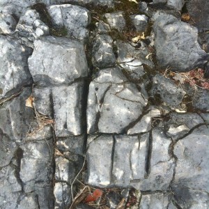 017ddcb9360a2de2c4fbd0dc3a205e91b7949fccd6