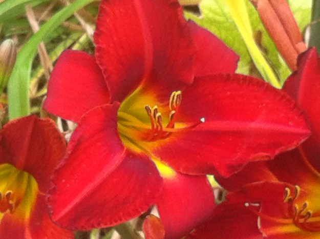 01b555eb613f0f3ee24d6d5c99a34e26c23254d399