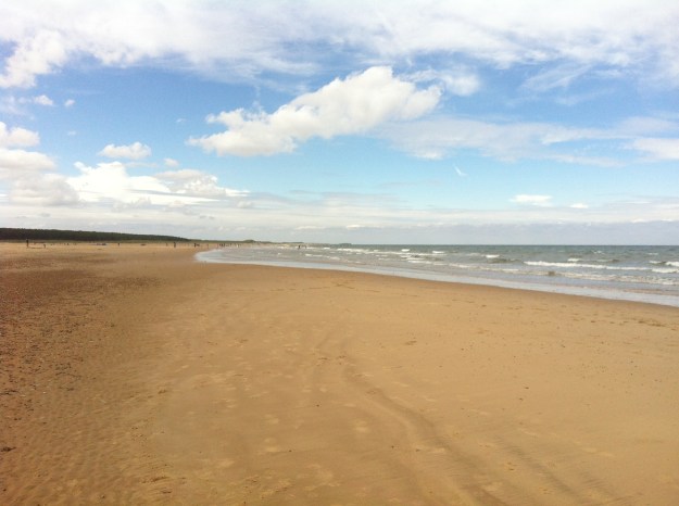 01f35bd967d95cc6f56ffa87b9a603817eef74e83f